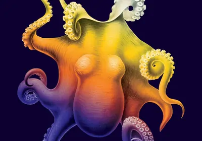 Cover of When Animals Dream: A colourful illustration of an octopus.<br><br>